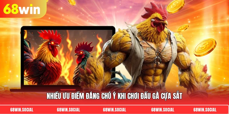 Nhiều ưu điểm đáng chú ý khi chơi đấu gà cựa sắt